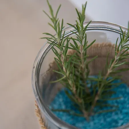 Cycladic Islands & Hotel 4*