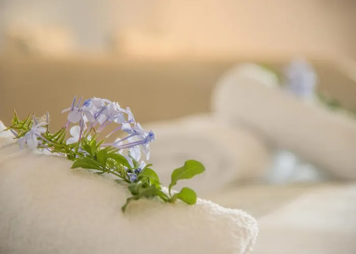 Отель Cycladic Islands &