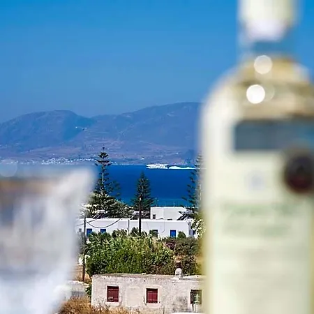 Hotell Cycladic Islands & Agia Anna (Naxos)