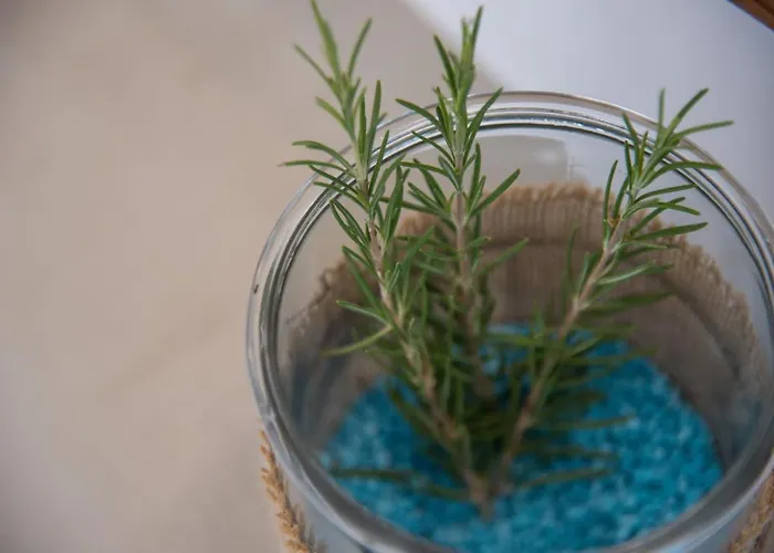 Cycladic Islands & Hotel 4*